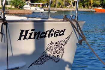 Catamaran Hinatea, vue du pont extérieur