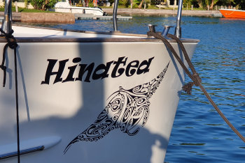 Catamaran Hinatea, vue du pont extérieur