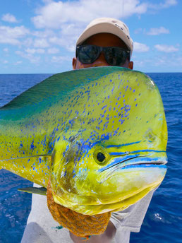 Big fishing in Seychelles